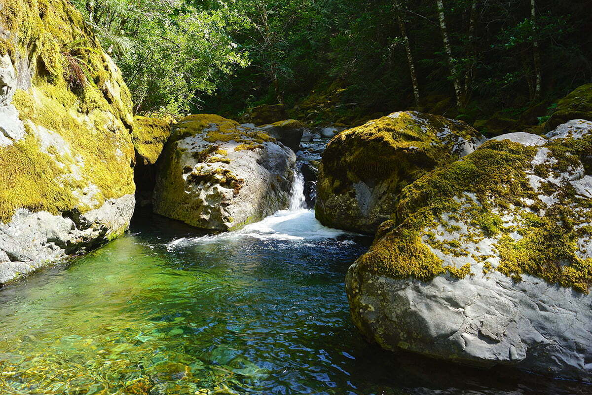 Eugene swimming hole